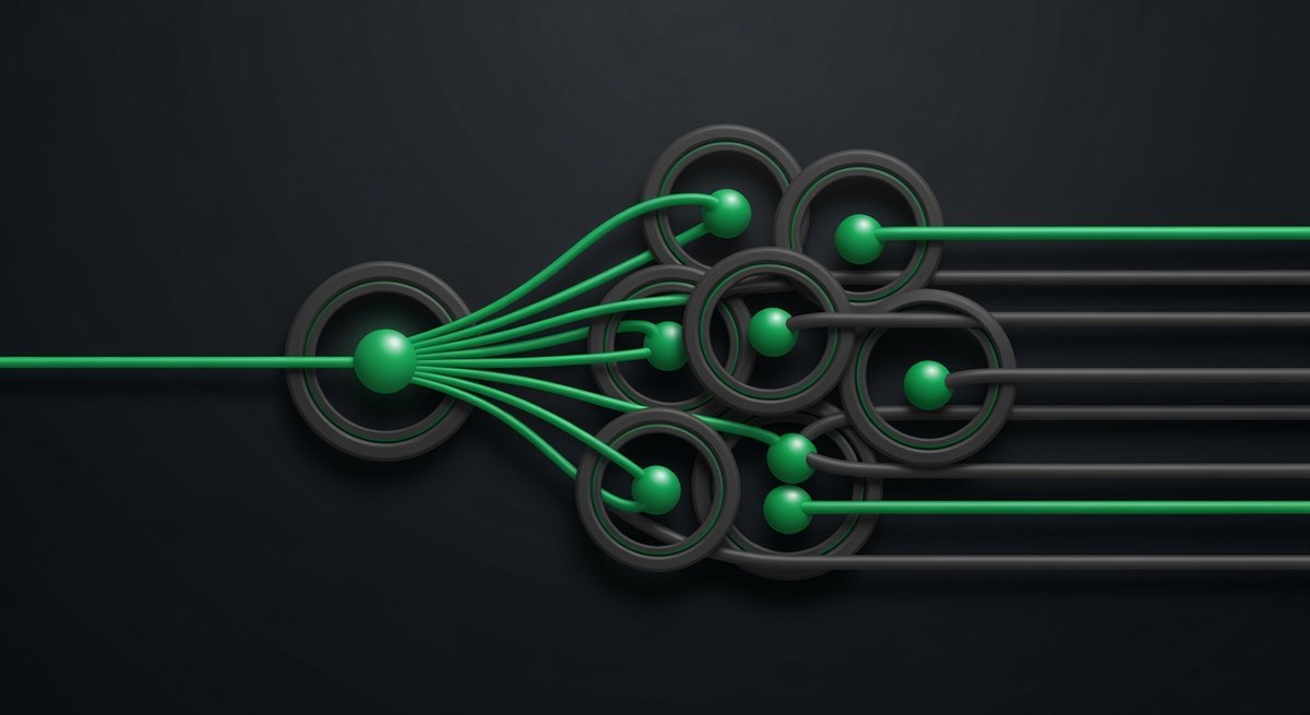 One input line fanning into many parallel paths through later stages